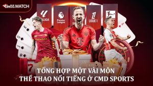 Tổng hợp một vài môn thể thao nổi tiếng ở CMD Sports